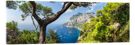 Quadro em acrílico Panorama of the island of Capri