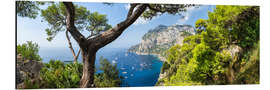 Aluminium print Panorama of the island of Capri