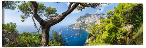 Leinwandbild Panorama der Insel Capri