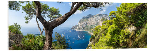 Foam board print Panorama of the island of Capri