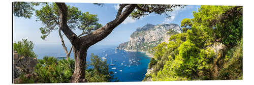 Gallery print Panorama of the island of Capri