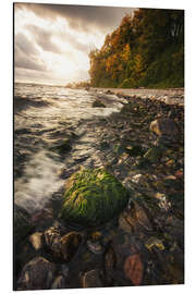 Tableau en aluminium Beach on Rügen - Jasmund National Park