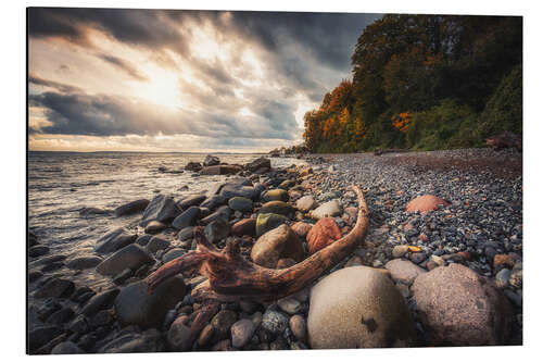 Aluminium print Beach on Rügen - Jasmund National Park