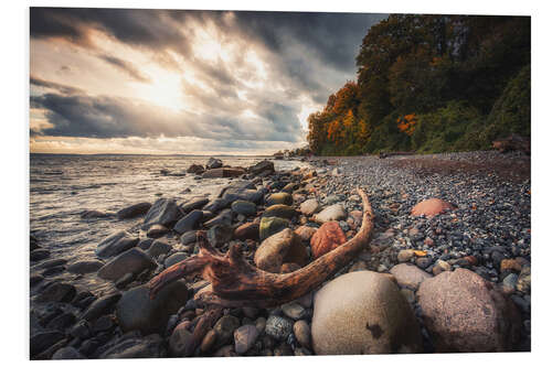 Tableau en PVC Beach on Rügen - Jasmund National Park