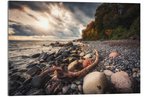 Gallery print Beach on Rügen - Jasmund National Park