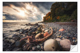 Vinilo para la pared Beach on Rügen - Jasmund National Park