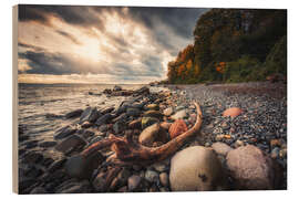 Wood print Beach on Rügen - Jasmund National Park