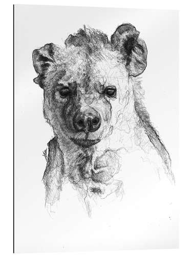 Gallery print Hyena