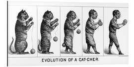 Aluminium print Evolution of a Cat-cher