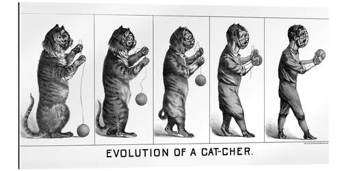 Galleritryk Evolution of a Cat-cher