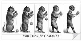 Selvklebende plakat Evolution of a Cat-cher