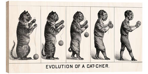 Holzbild Evolution of a Cat-cher