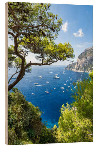 Holzbild Aussichtspunkt Belvedere di Tragara auf Capri