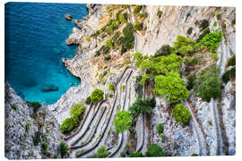 Leinwandbild Via Krupp Serpentinenpfad auf Capri