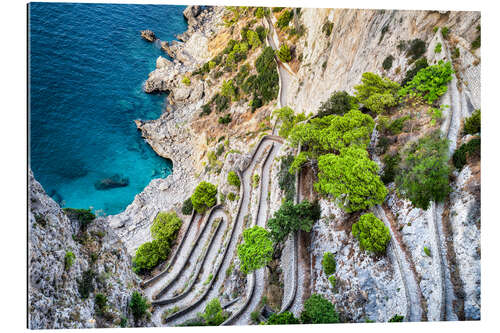 Tableau en plexi-alu Via Krupp serpentine path on Capri