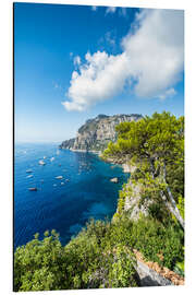 Aluminium print Summer on the island of Capri