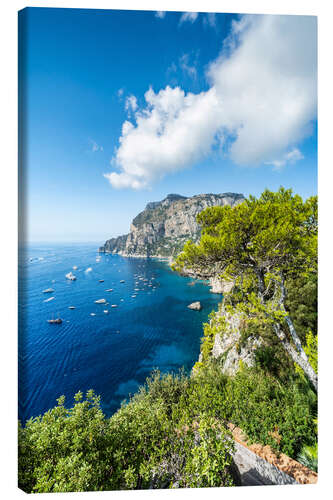 Tableau sur toile Summer on the island of Capri