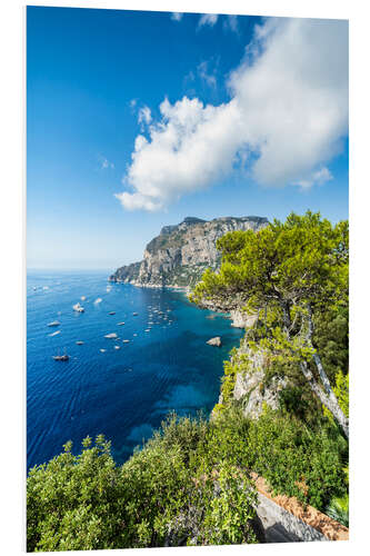 Foam board print Summer on the island of Capri