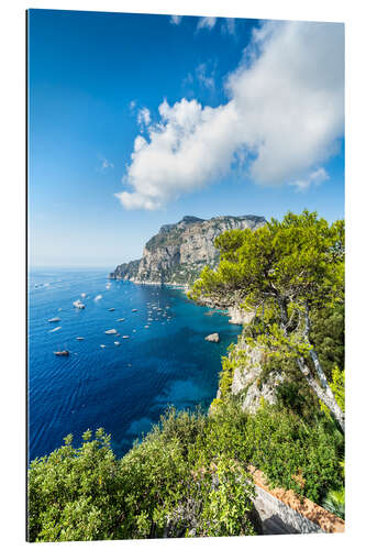 Gallery print Summer on the island of Capri