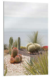 Gallery Print Botanischer Garten in Èze, Frankreich