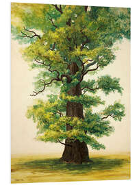 Tableau en PVC Study of an Ivenack oak