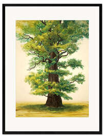 Plakat artystyczny premium w ramie Study of an Ivenack oak
