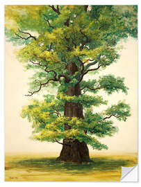 Naklejka na ścianę Study of an Ivenack oak