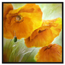 Gerahmter Kunstdruck Drei mal gelber Mohn