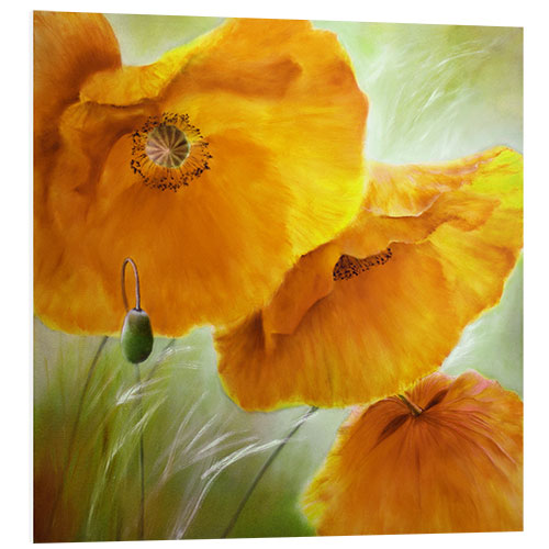 Stampa su PVC Three yellow poppy flowers