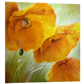 Foam board print Three yellow poppy flowers