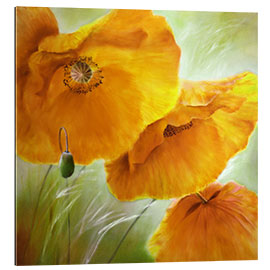 Gallery Print Drei mal gelber Mohn