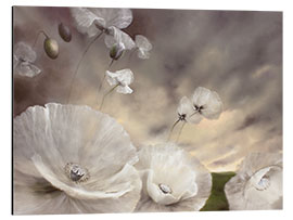 Stampa su alluminio Fleeting - white poppies in the summer wind