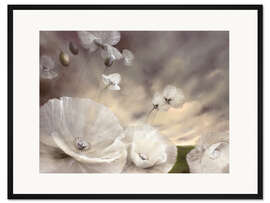 Gerahmter Kunstdruck Flüchtig - weißer Mohn im Sommerwind