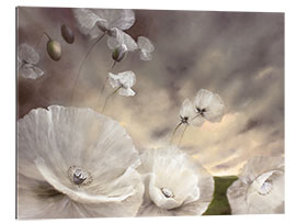 Gallery print Fleeting - white poppies in the summer wind