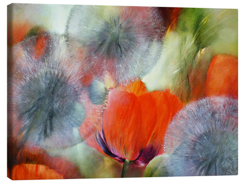 Canvas print Poppies and dandelions II