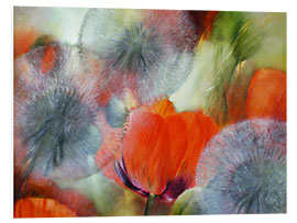 Foam board print Poppies and dandelions II