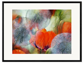 Framed art print Poppies and dandelions II