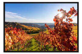 Gerahmter Kunstdruck Weinberge bei Rotenberg in Stuttgart
