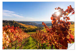 Sisustustarra Vineyards near Rotenberg in Stuttgart