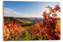 Wood print Vineyards near Rotenberg in Stuttgart