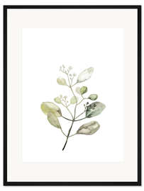 Gerahmter Kunstdruck Botanische Illustration Eukalyptus