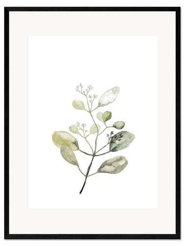 Gerahmter Kunstdruck Botanische Illustration Eukalyptus