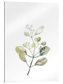 Gallery print Botanical Illustration Eucalyptus