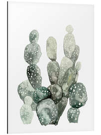 Tableau en aluminium Botanical Illustration Cacti