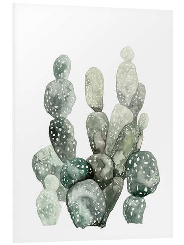 Tableau en PVC Botanical Illustration Cacti