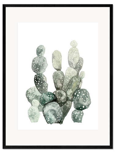 Innrammet kunsttrykk Botanical Illustration Cacti