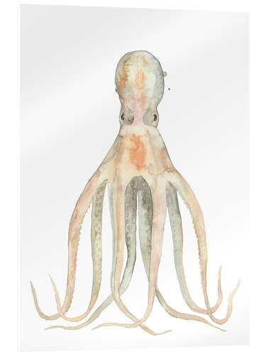Akrylbillede Octopus