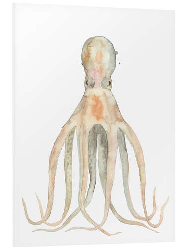 Cuadro de PVC Octopus