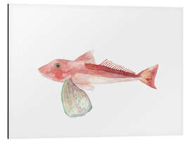 Tableau en aluminium Sea Life Gurnard