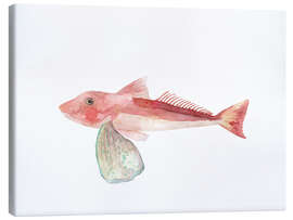 Quadro em tela Sea Life Gurnard